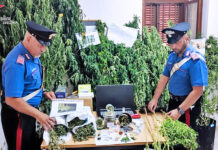 Coltivazione e produzione di stupefacenti, arrestato 61enne a Ospedaletto d’Alpinolo