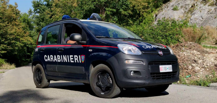 Carabinieri in azione