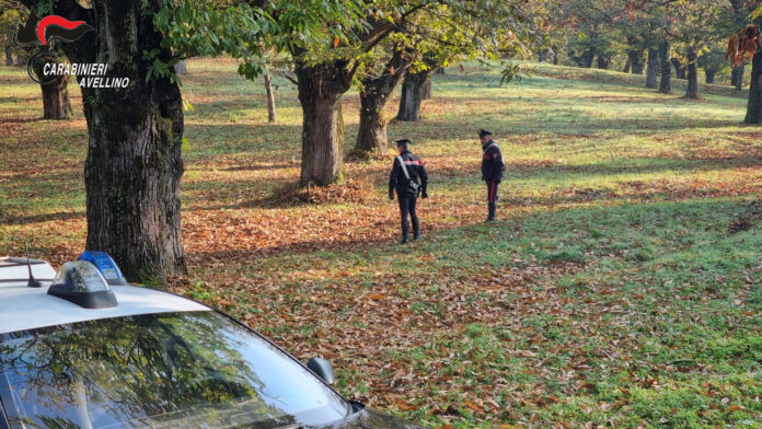 Residui vegetali bruciati tra Serino e San Michele, 7 denunciati di età compresa tra i 26 e 70 anni. Indagine dei Carabinieri della Compagnia di Solofra