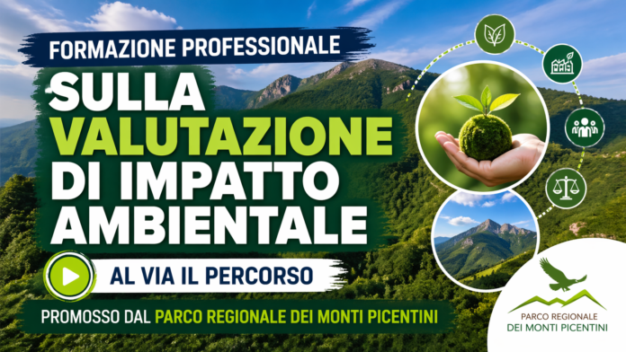 Formazione professionale